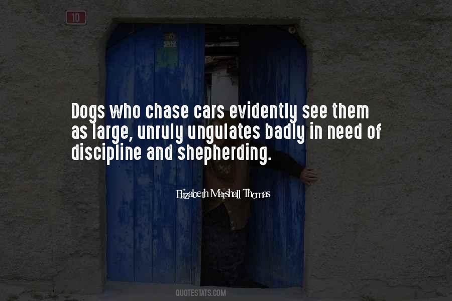 Quotes About Chase #1278822