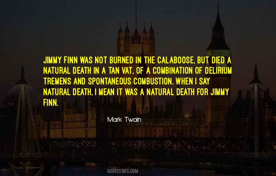 Quotes About Spontaneous Combustion #17359