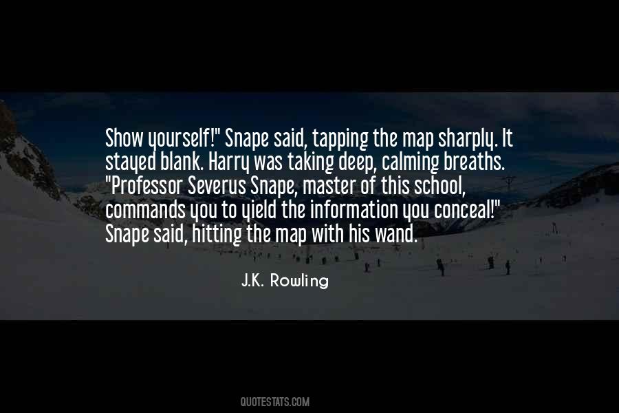 Professor Severus Snape Quotes #775846