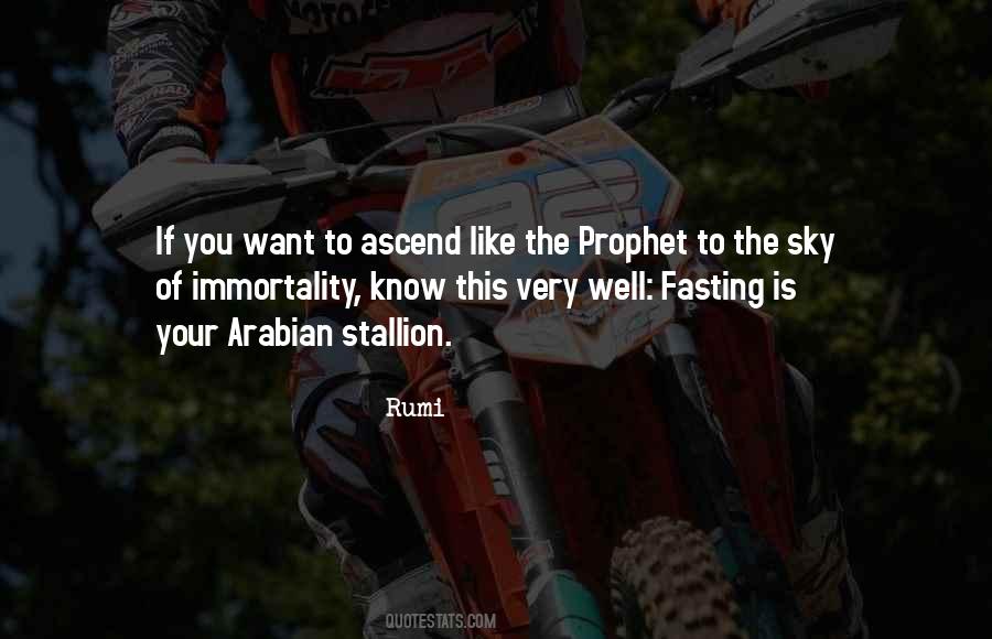 To The Sky Quotes #1622739