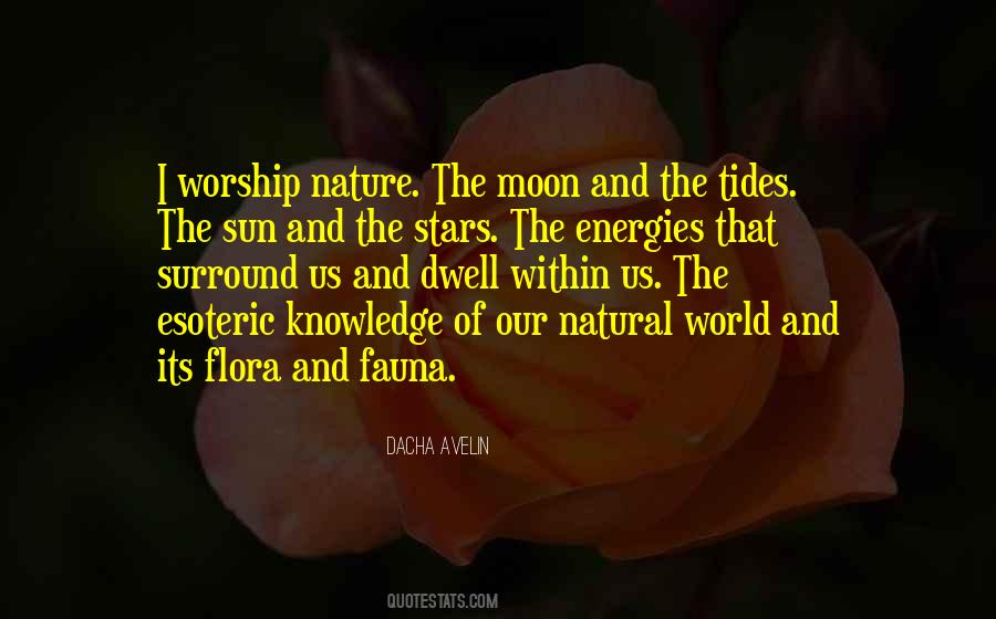 Quotes About The Sun Moon And Stars #117405