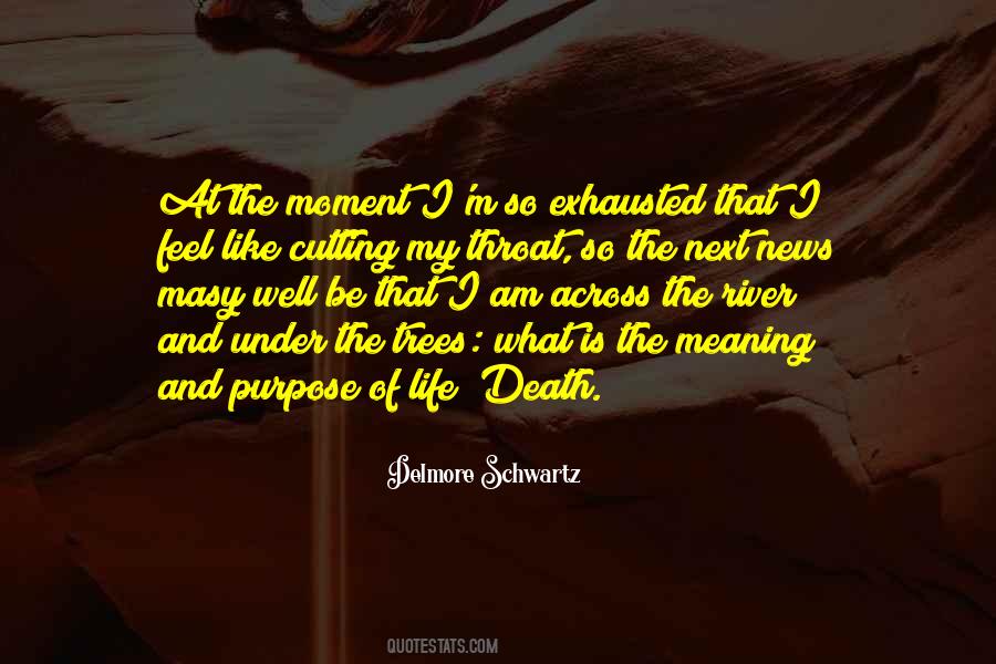 Quotes About The Meaning Of Life And Death #557178