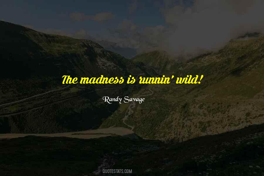 Quotes About Madness #1621309