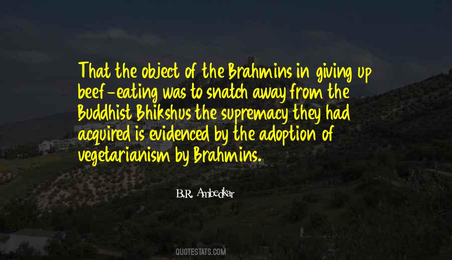 Quotes About Brahmins #1508397