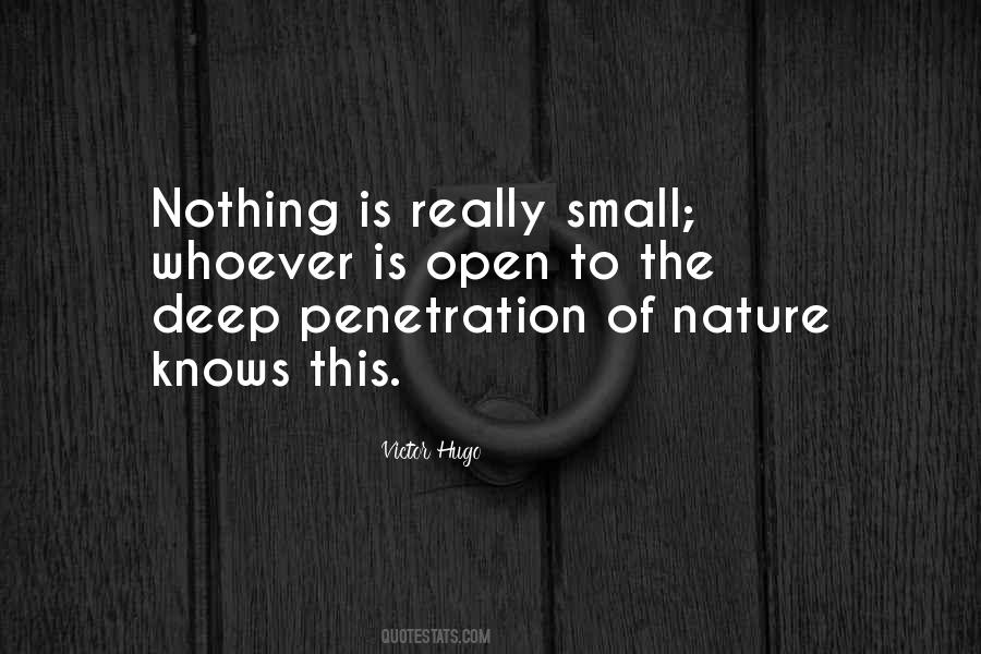 Quotes About Small Things In Nature #191038