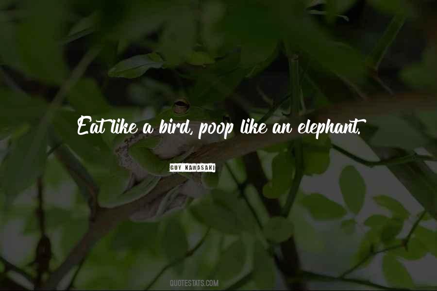 Quotes About Bird Poop #1074029