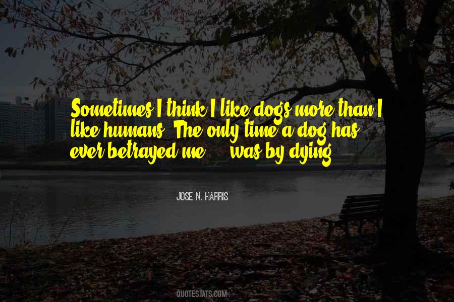 Quotes About Dogs Loyalty #973170