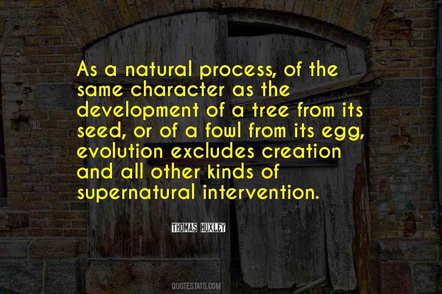 Quotes About Creation And Evolution #1644557