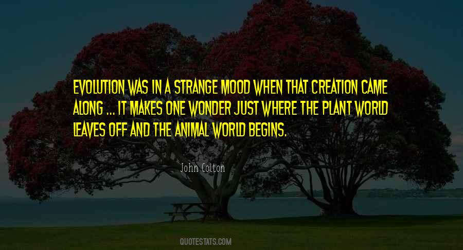 Quotes About Creation And Evolution #436913