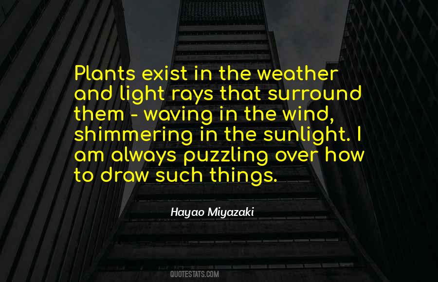 Quotes About Rays #1198665