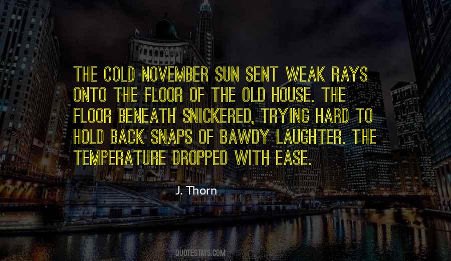 Quotes About Rays #1235251