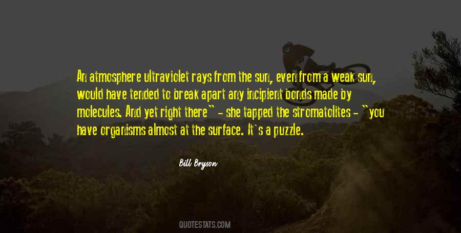 Quotes About Rays #1268769