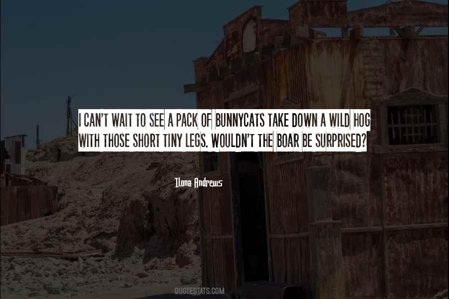 Quotes About Short Legs #867722