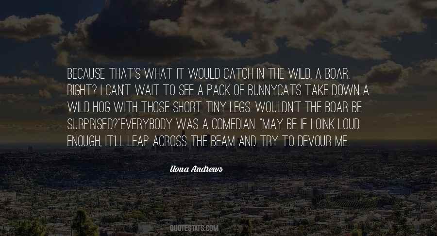 Quotes About Short Legs #875304