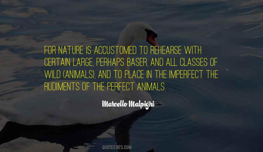 Quotes About Animals In Nature #640060