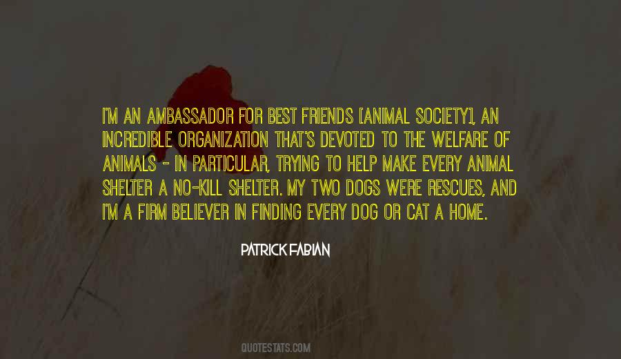 Dogs And Friends Quotes #378810