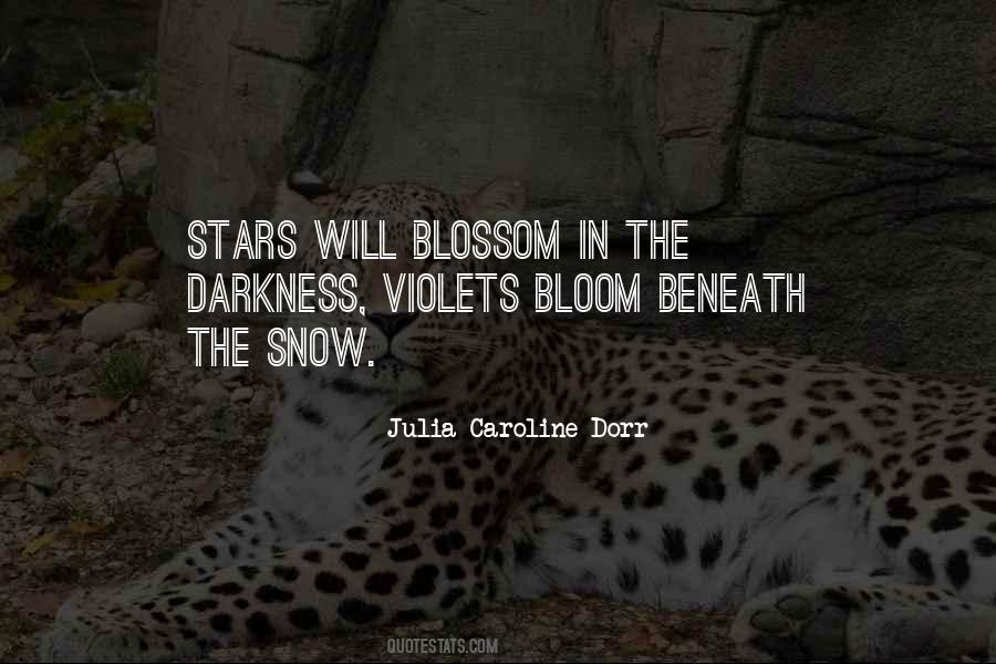 Quotes About Stars In The Darkness #109228