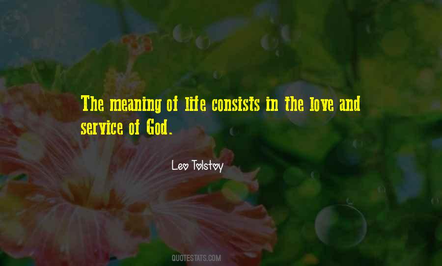 Meaning Of Life And Love Quotes #929703