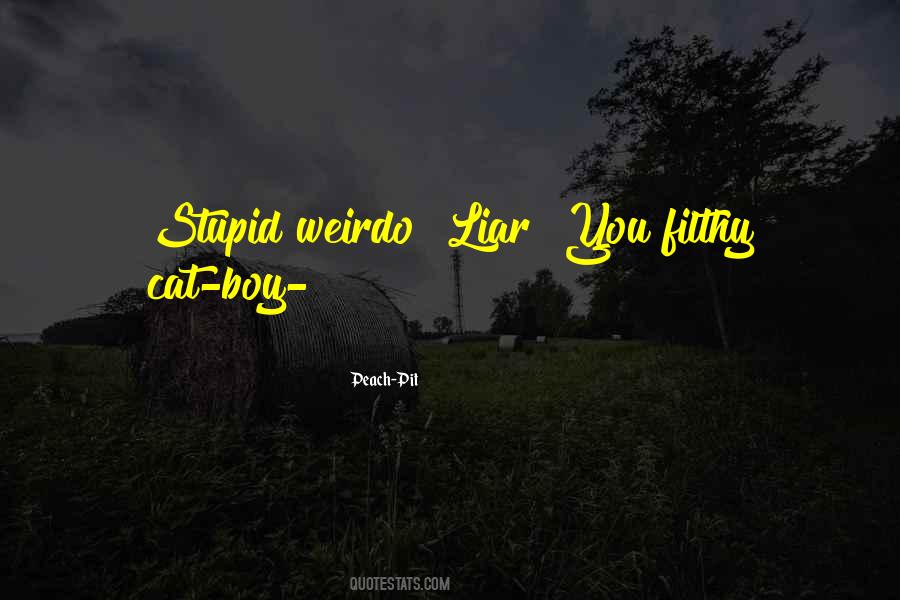 Quotes About A Liar Boy #401283