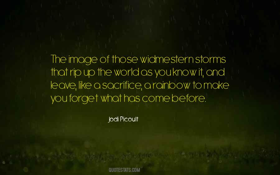 Life Storms Quotes #236583