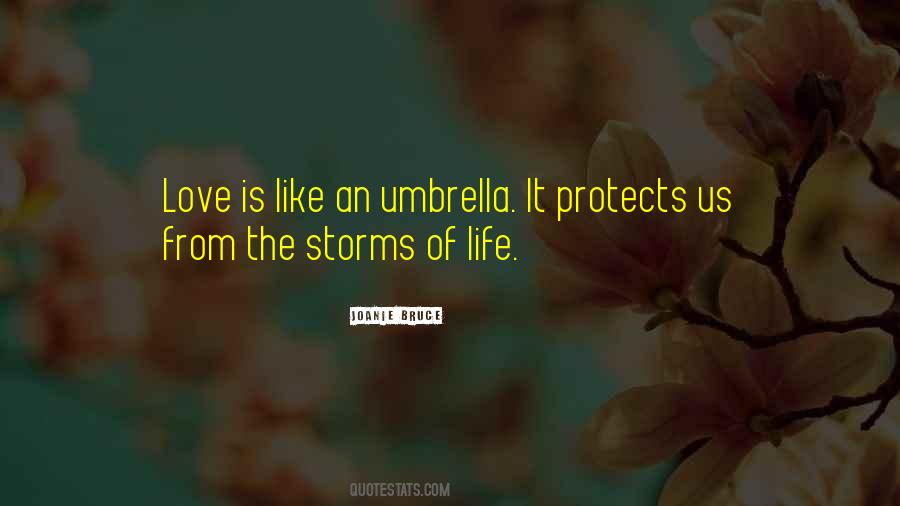 Life Storms Quotes #496357