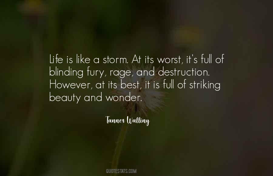 Life Storms Quotes #625782