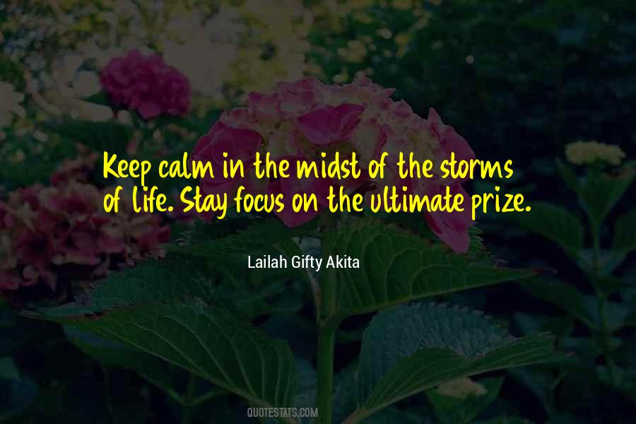 Life Storms Quotes #741717