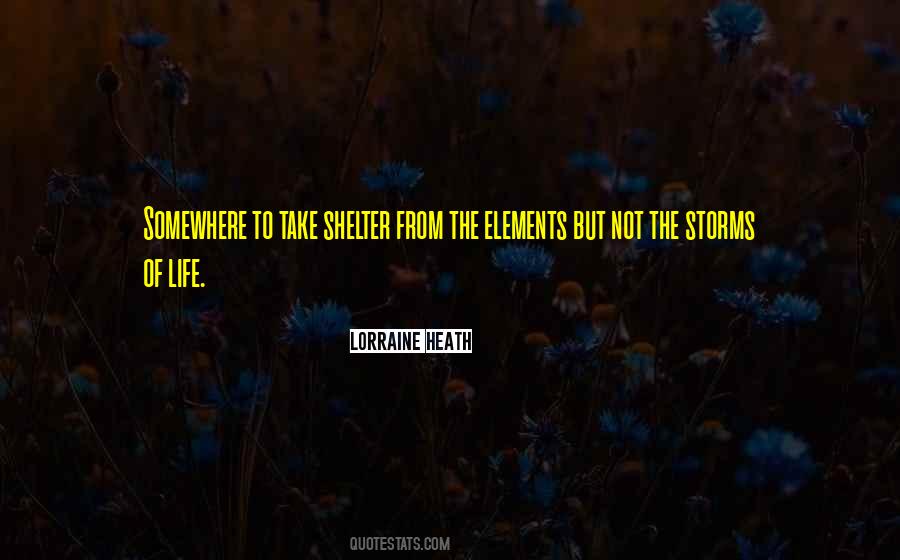 Life Storms Quotes #951355