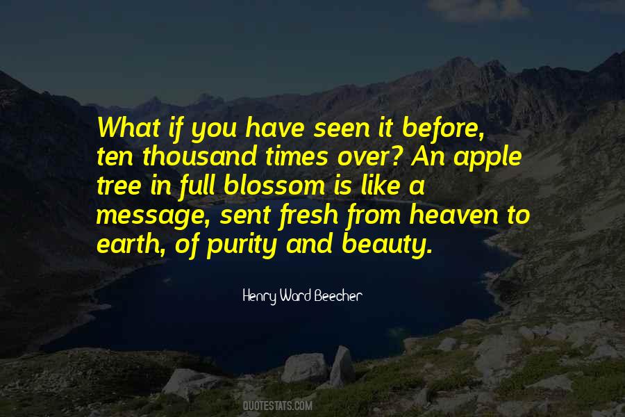 Quotes About What Heaven Is Like #708877