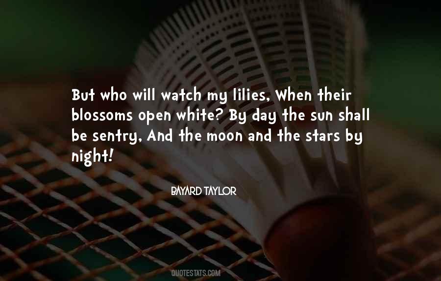 Quotes About The Moon And The Stars #700053