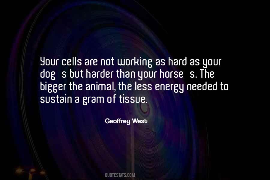Quotes About Animal Cells #922497