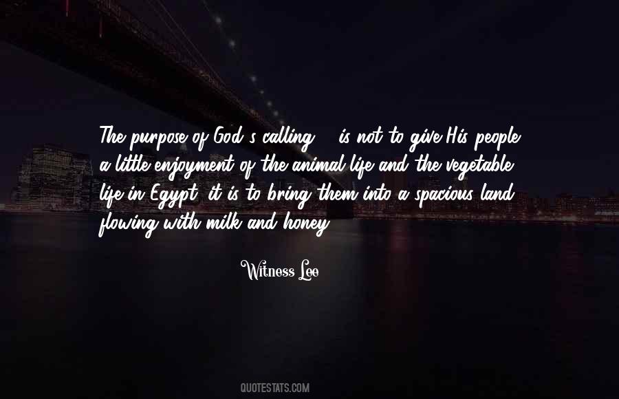 Most Spacious Quotes #541243