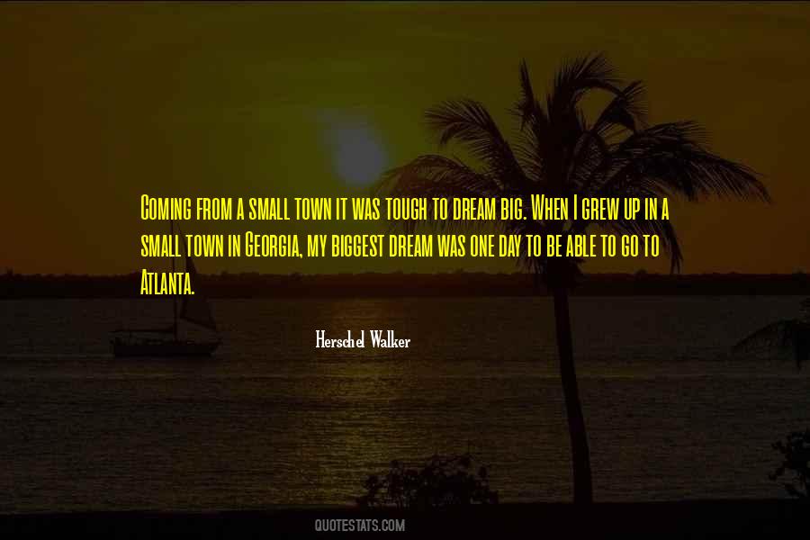 Quotes About My Big Dream #444451