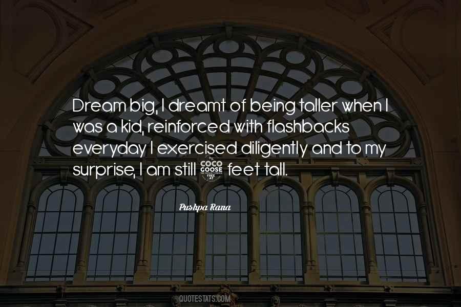 Quotes About My Big Dream #644472