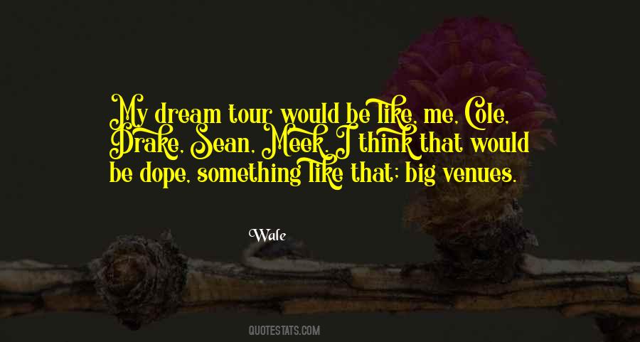 Quotes About My Big Dream #652507