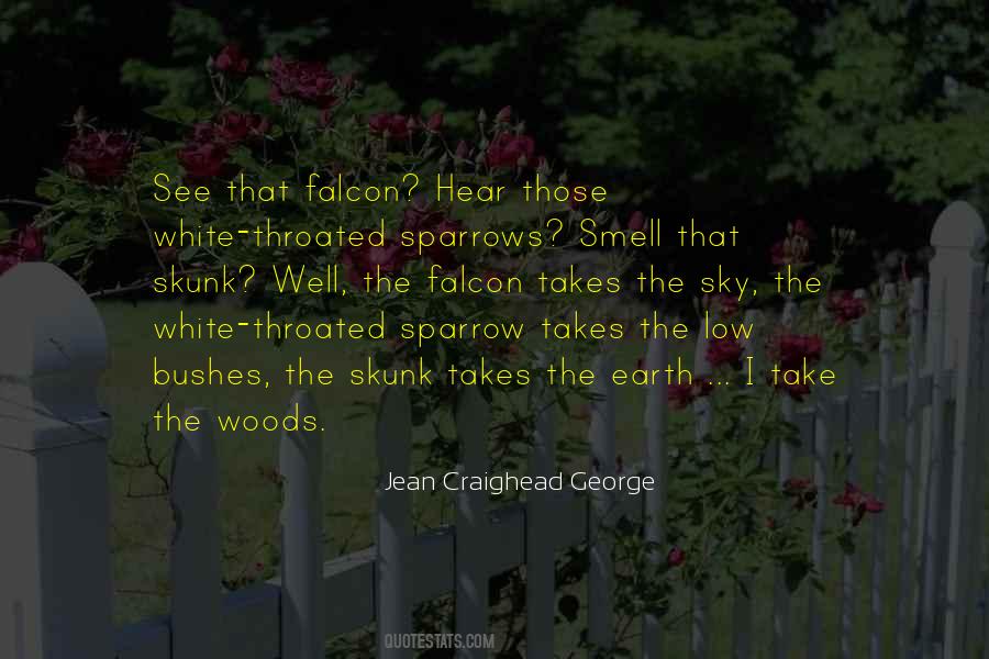 Quotes About Sparrows #1271923