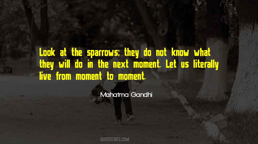 Quotes About Sparrows #447915