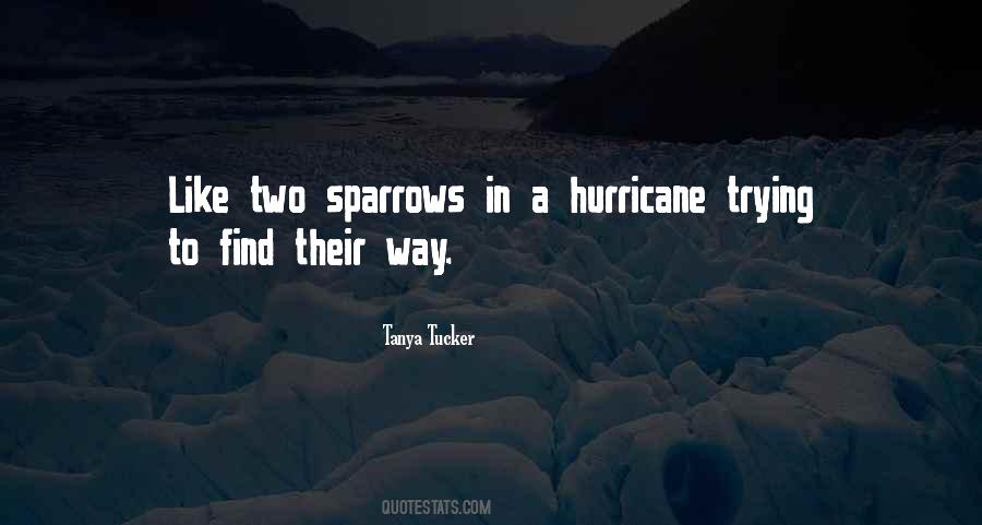 Quotes About Sparrows #491372