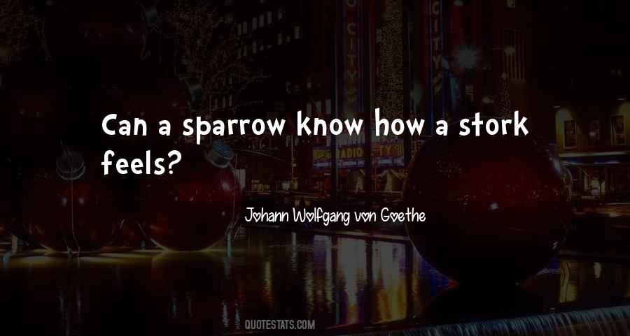 Quotes About Sparrows #645780