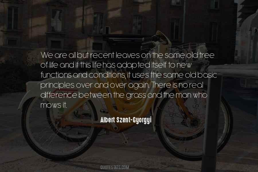 Quotes About Old And New Life #866596