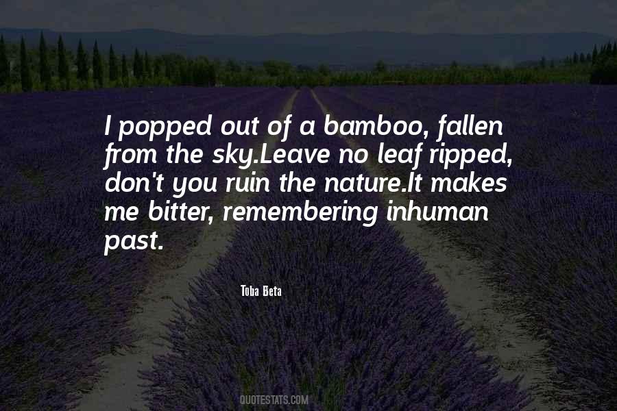 Quotes About Remembering The Past #1499319