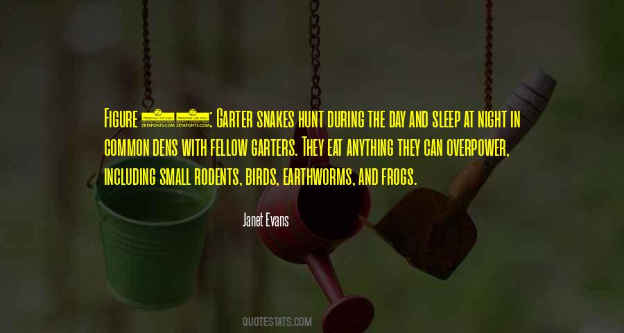 Quotes About Garter Snakes #627028