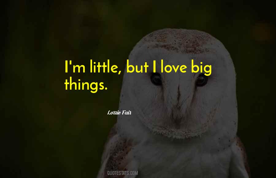 Little Things Love Quotes #157660