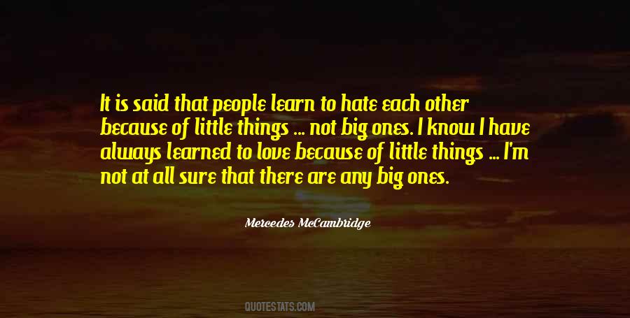 Little Things Love Quotes #530012