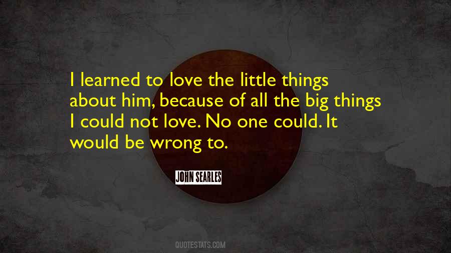 Little Things Love Quotes #935160