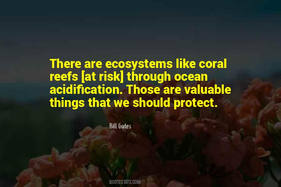 Quotes About Reefs #451719