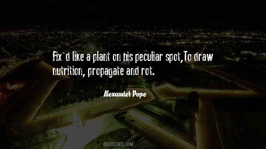 No Matter How Much Time Passes Quotes #55527