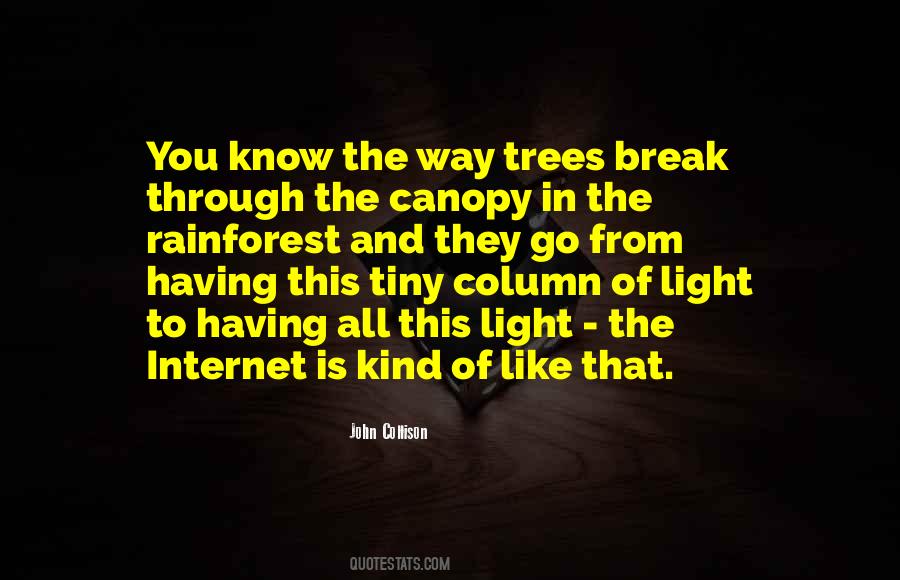 Quotes About Light Through The Trees #830463