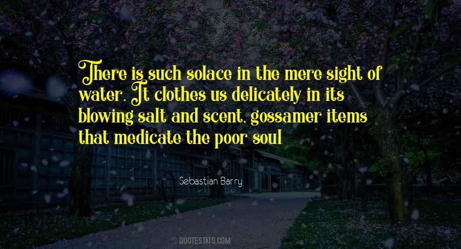 Quotes About Solace #428556