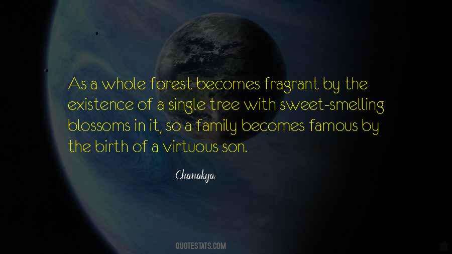 Quotes About The Family Tree #119571